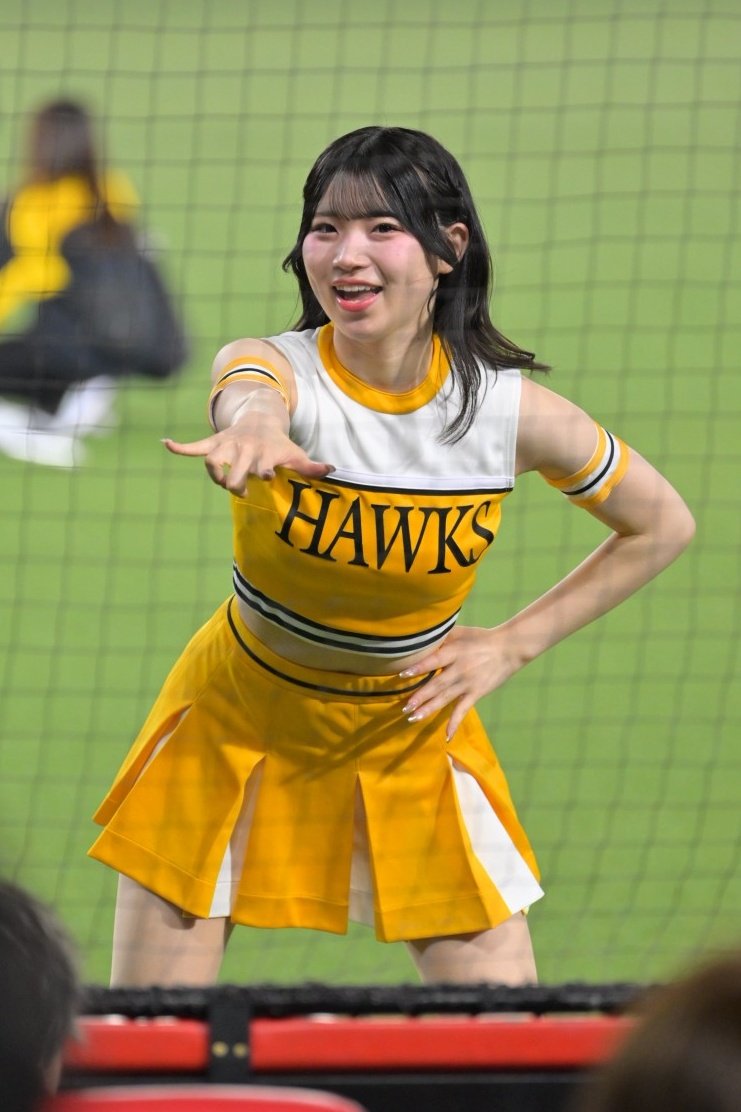 はーさん＠🐝 tweet media