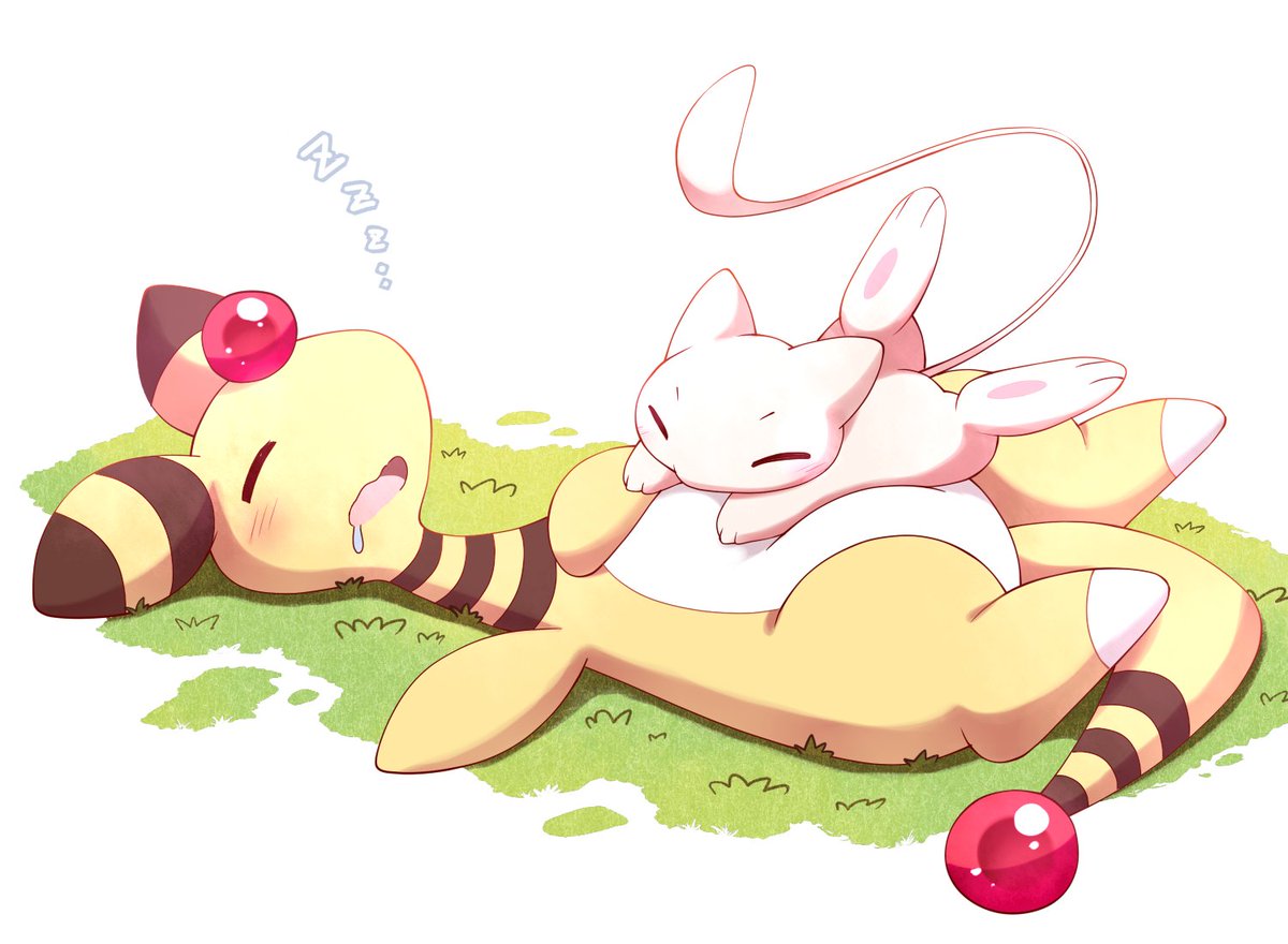 おなかのうえ寝💤