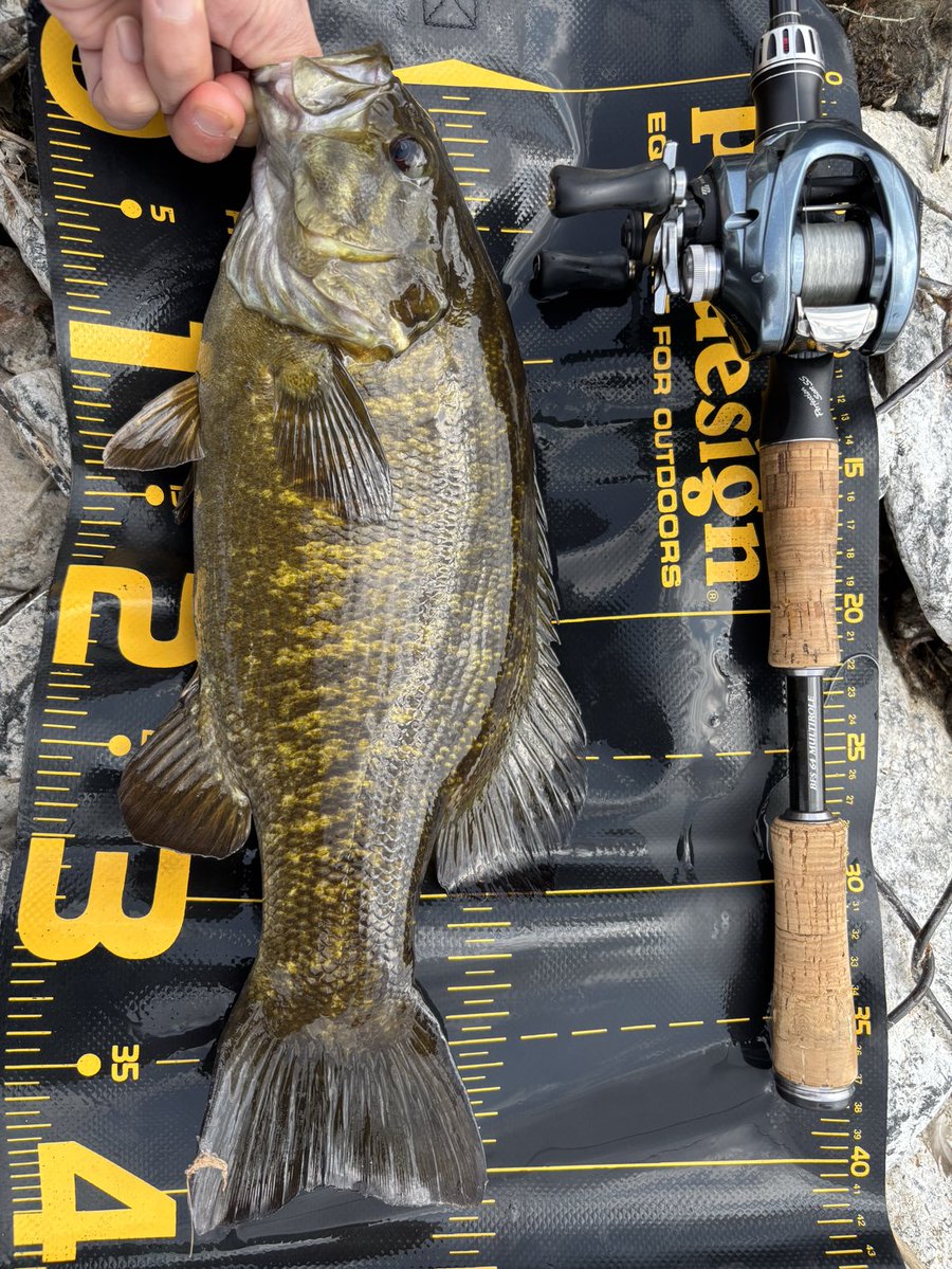 ユーフ tweet media