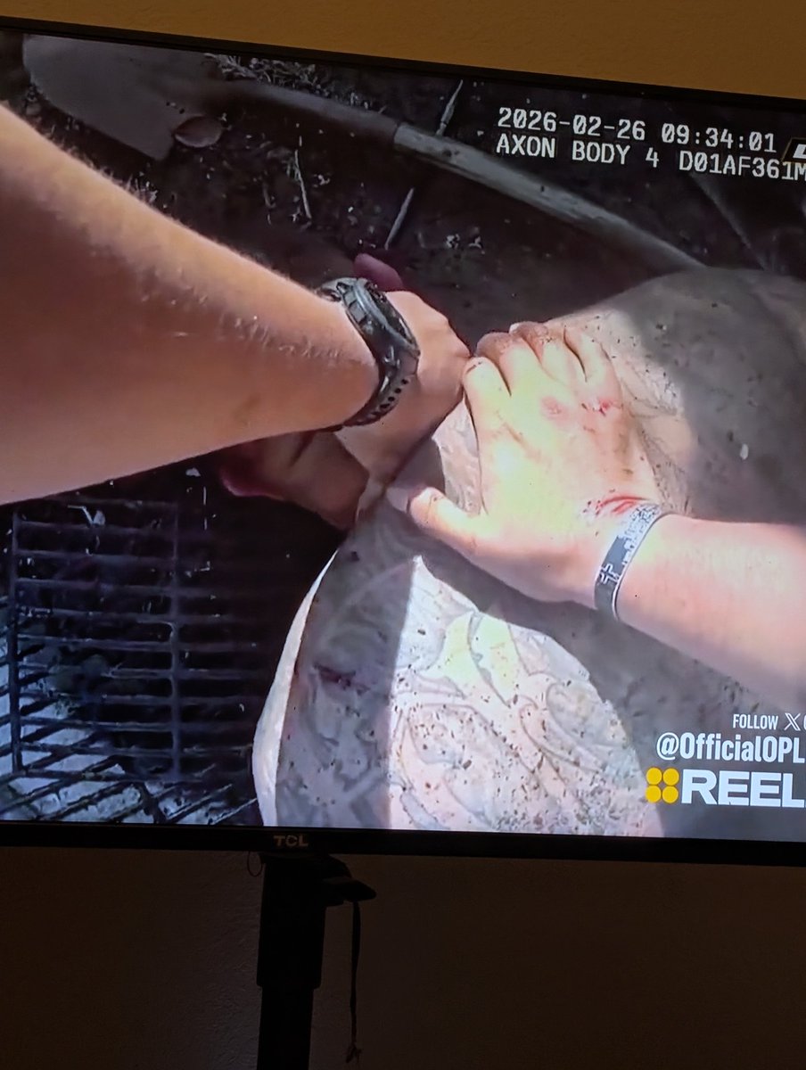 Livid_PD tweet media