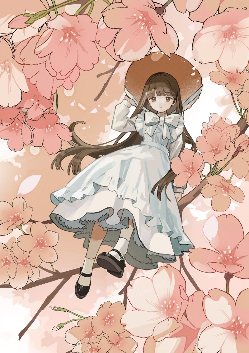 柏木ちさめ☕通販OPEN tweet media