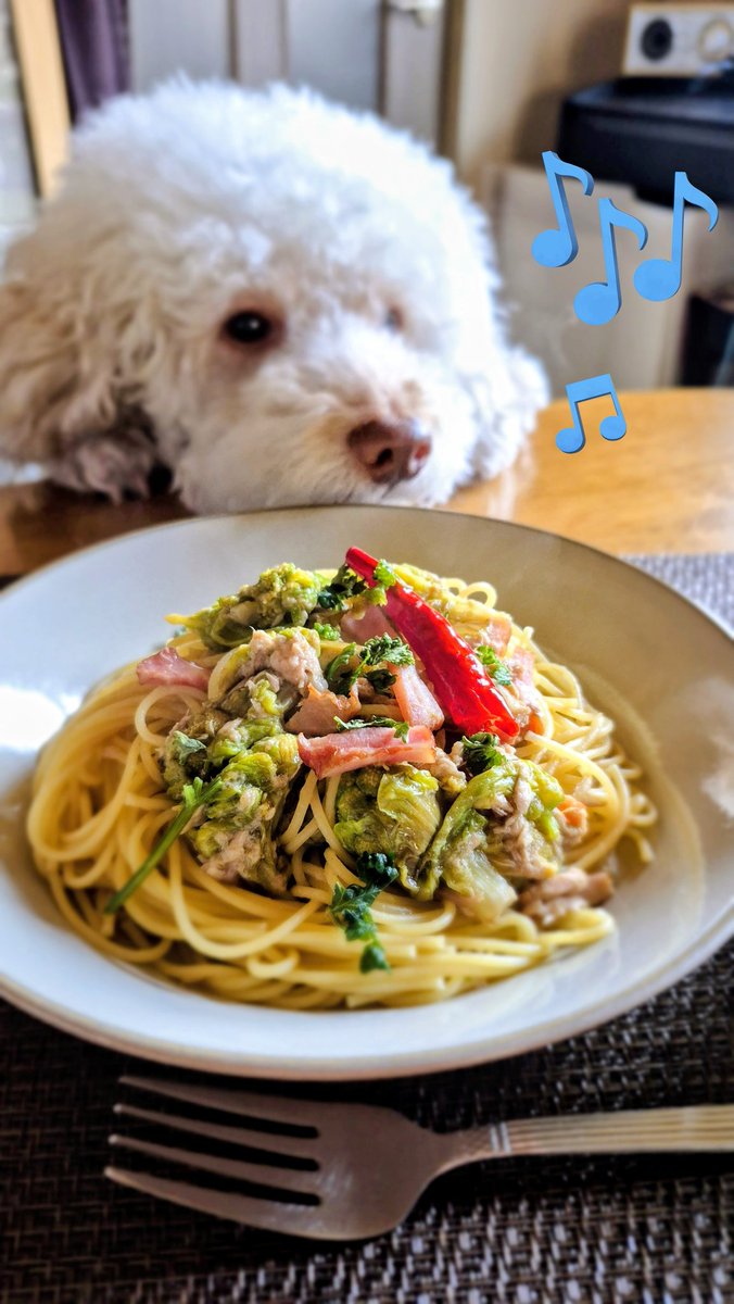 わんわん ⛄ tweet media