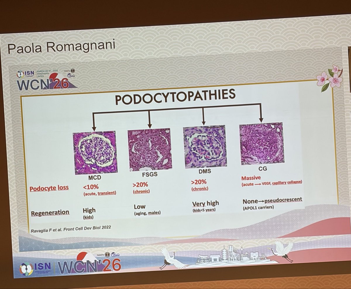 Hamza Rage tweet media