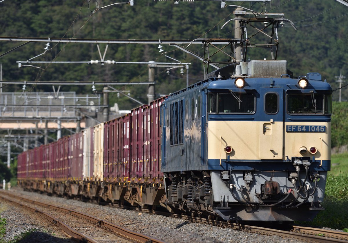 あぐかま tweet media