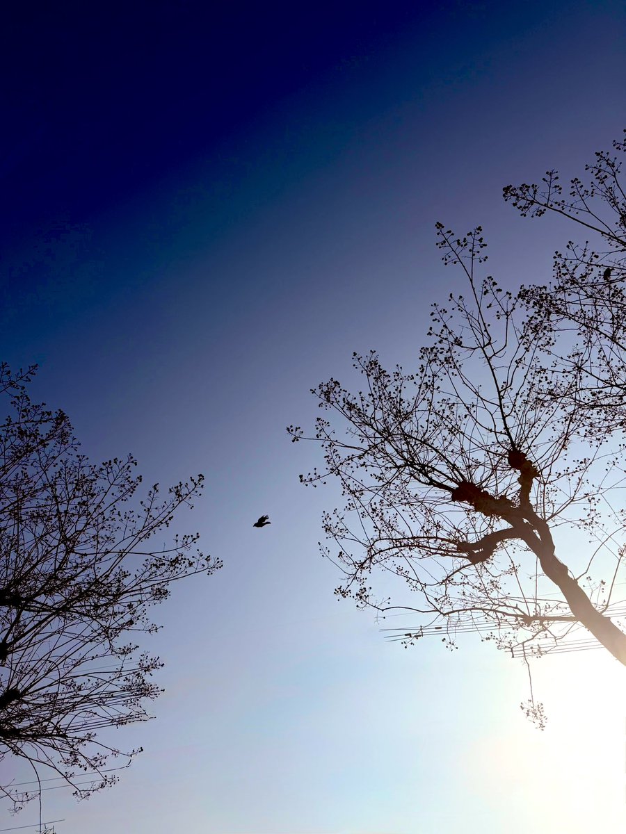 DrummerMiMi_official tweet media