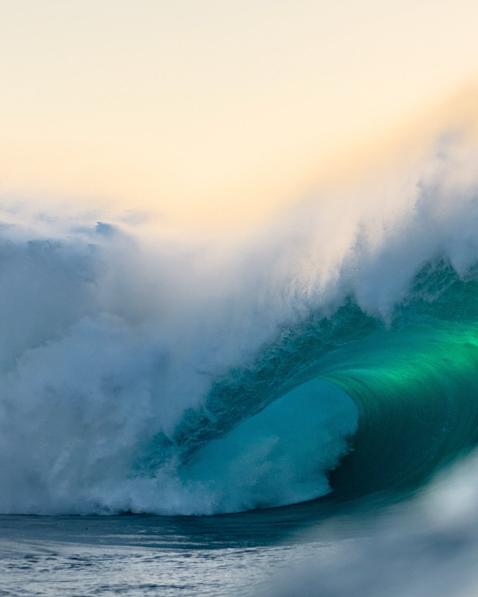 Delight Moments tweet media