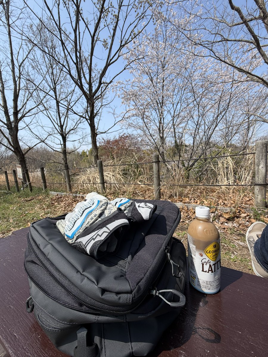 say_row_gun_toy's tweet image. 今日はメッシュグローブでも大丈夫。 #桜　#kushitani #ogio #ct125 #huntercub #茅ヶ崎里山公園