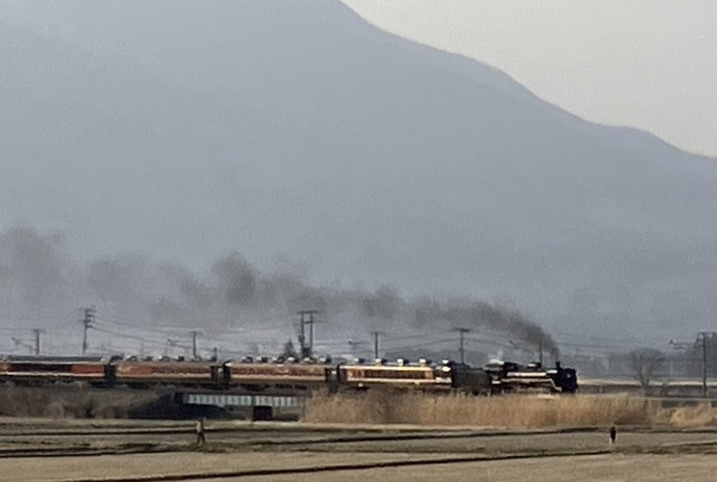 つばさ51号 tweet media