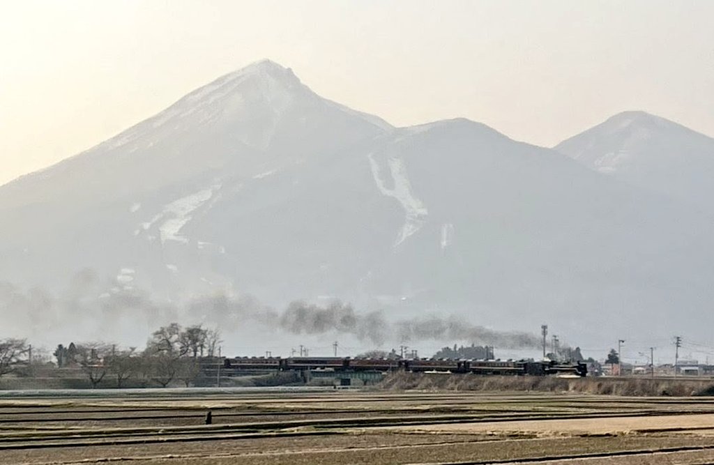 つばさ51号 tweet media