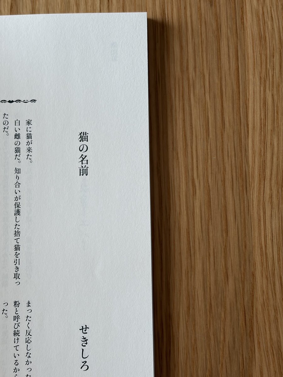 せきしろ tweet media