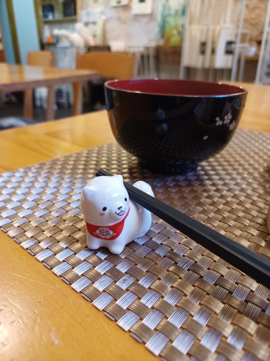 wanchan516's tweet photo. 大阪 放出駅にあるoneness cafe🐶 
お邪魔してきました🎵
わんだん邸で5年前に私がボランティアを始めた当時の店長さん😊
看板犬のラコちゃんも元気です✨ https://t.co/ggxxXpz1TC