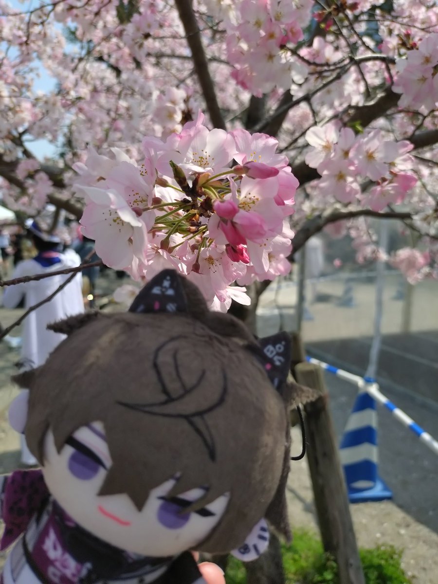 からたち はじめ@サタ召連載中 (@___hajime___) on Twitter photo 