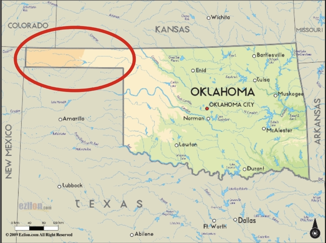 Planet Of Memes tweet media