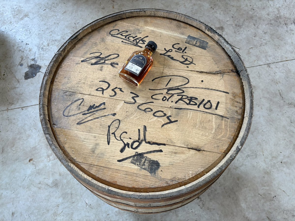 Rare Bird 101 🦃 tweet media