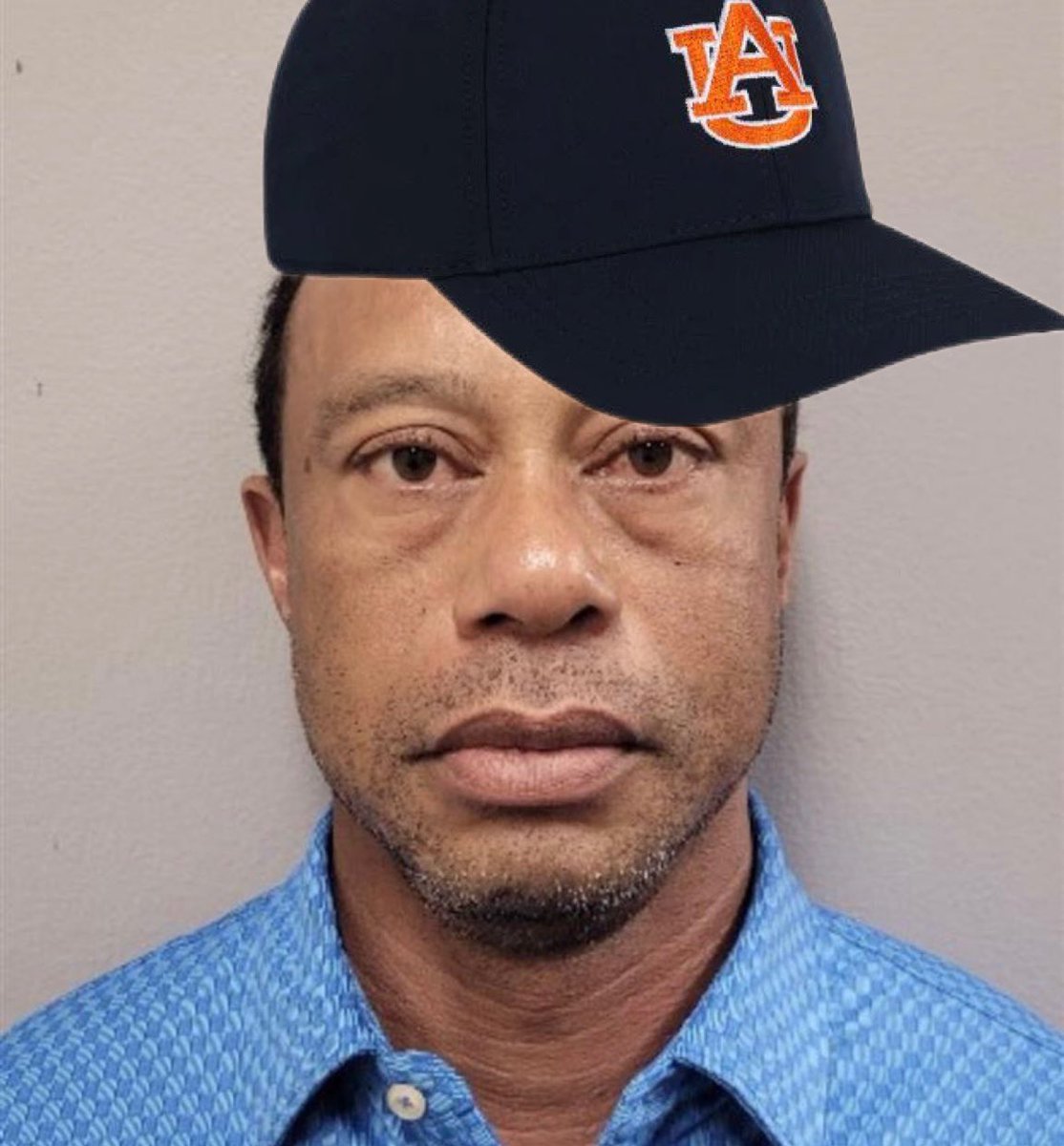 Drunk Aubie tweet media