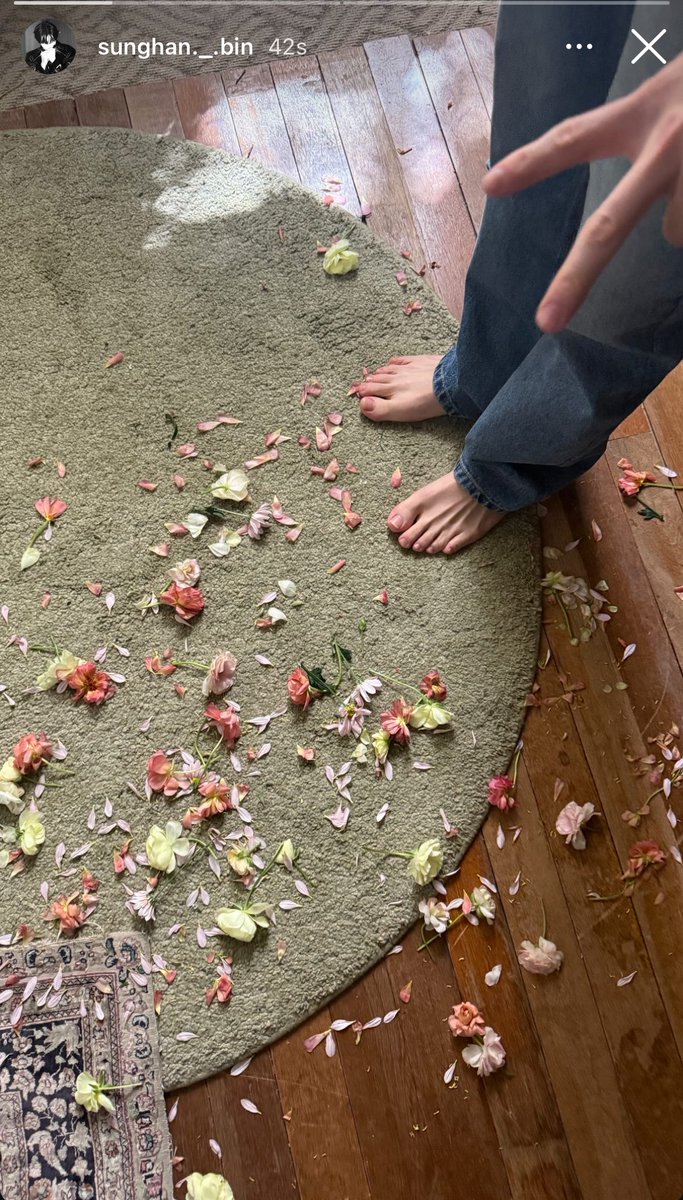 tori 🐬 tweet media