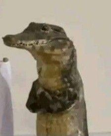 ⋆。゚☁︎。゚🍧‧₊𓏲 ๋࣭ ࣪𝑆𝑜𝑓𝑖 ˖🐇ᯓᡣ𐭩 tweet media