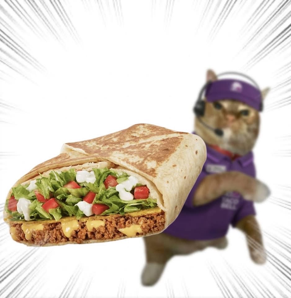 Throwing Things Daily tweet media