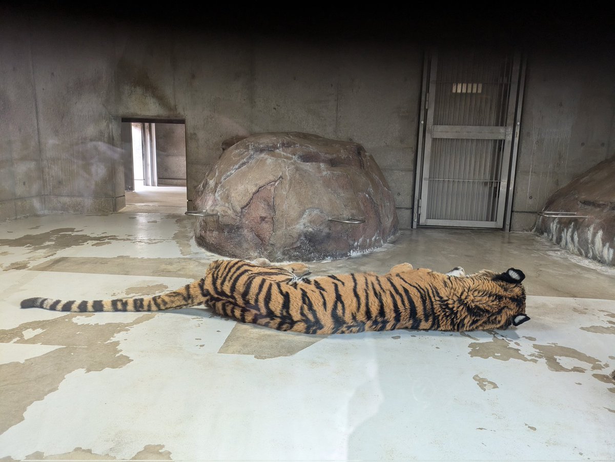 ばら*みるく* tweet media