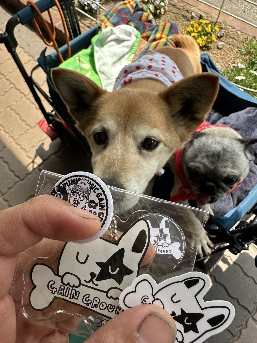 こばっぷ tweet media