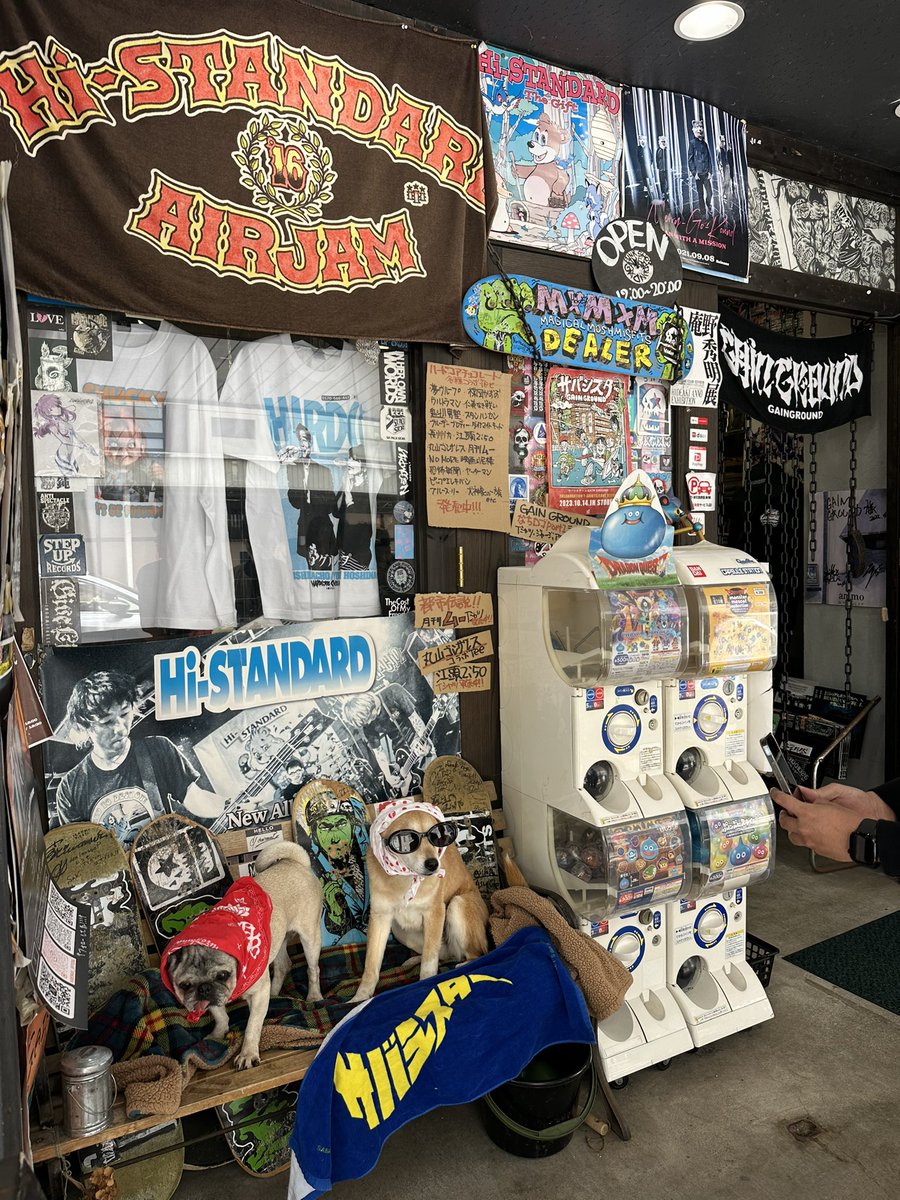 こばっぷ tweet media