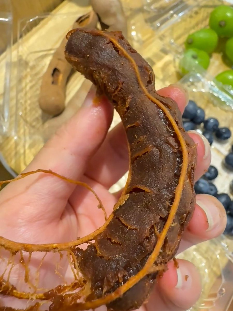 阿汀Agnes(互Fo🌻) tweet media