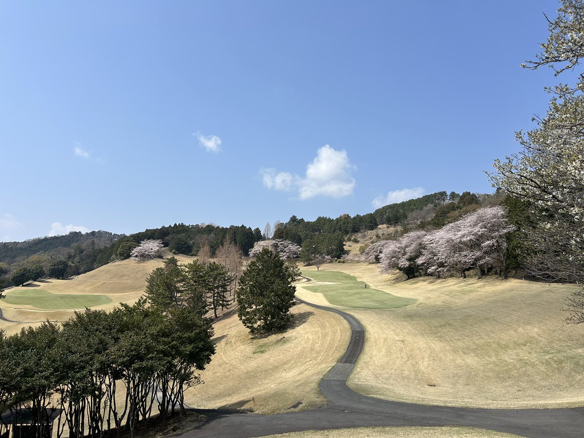 dicequeiman's tweet photo. お花見🌸ゴルフ⛳️ https://t.co/c1LbWjCK3p