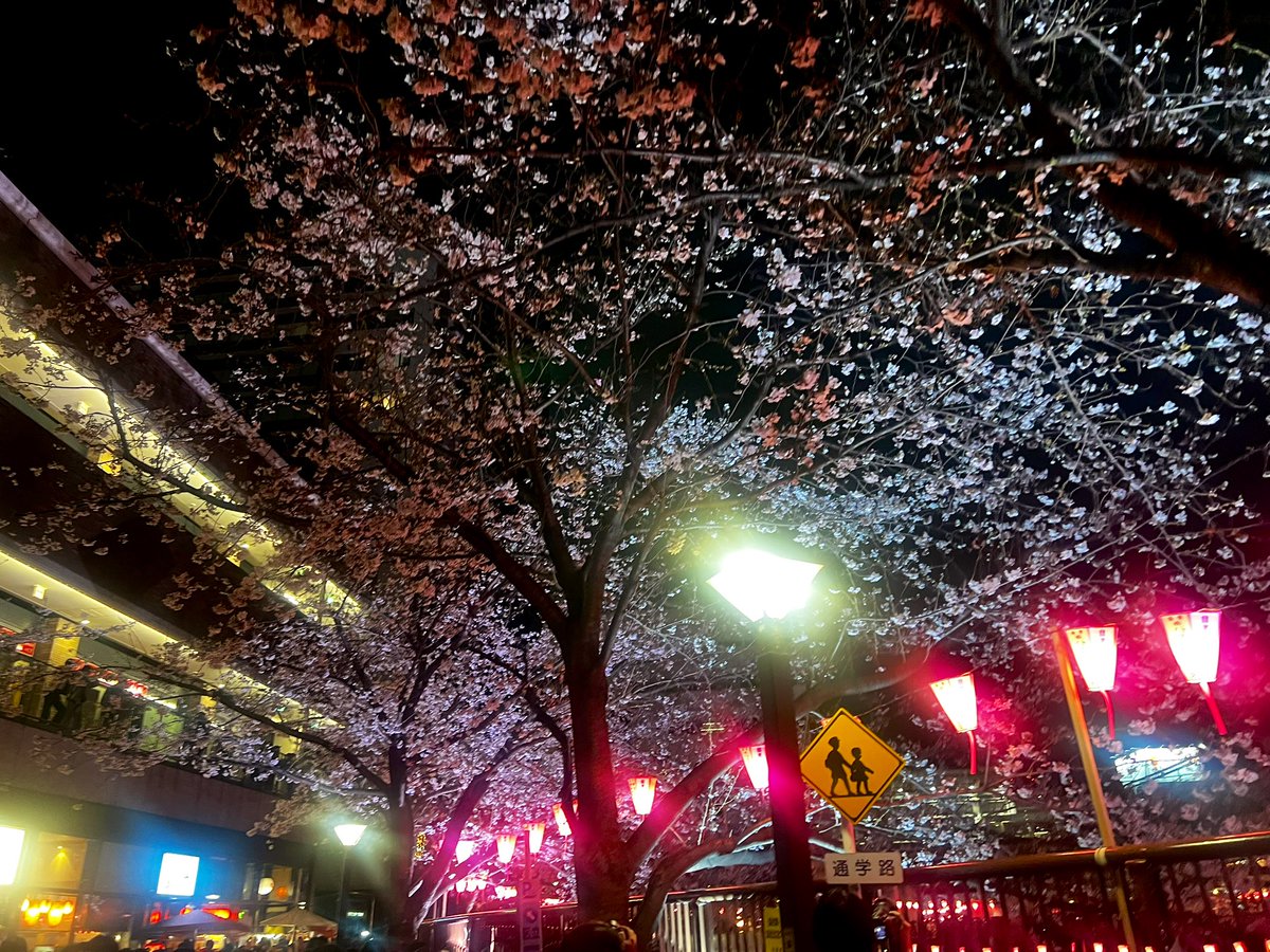 かきすけ tweet media