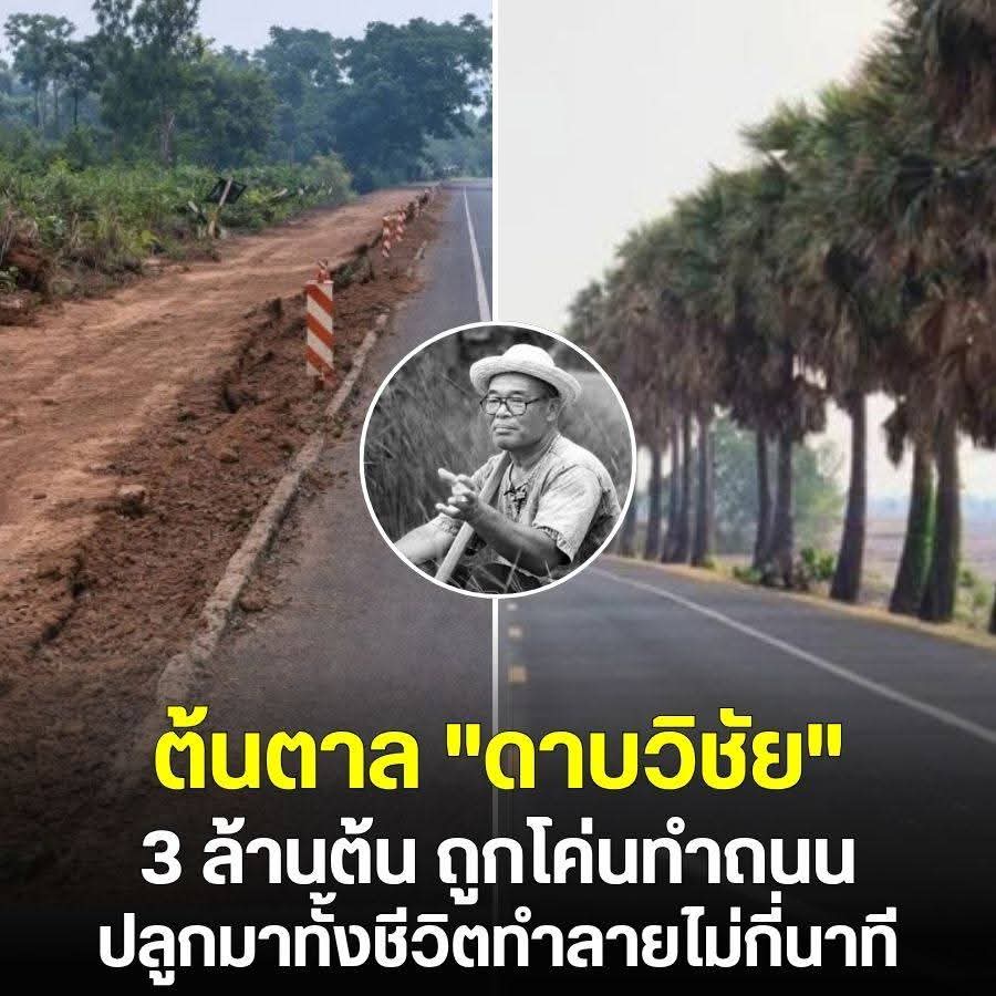 อีกหนึ่ง ทัศนคติ tweet media