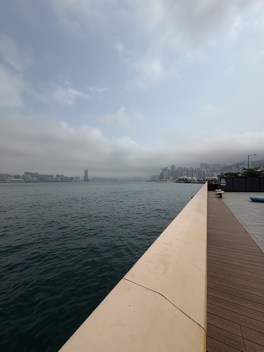 Eli Scheinman tweet media