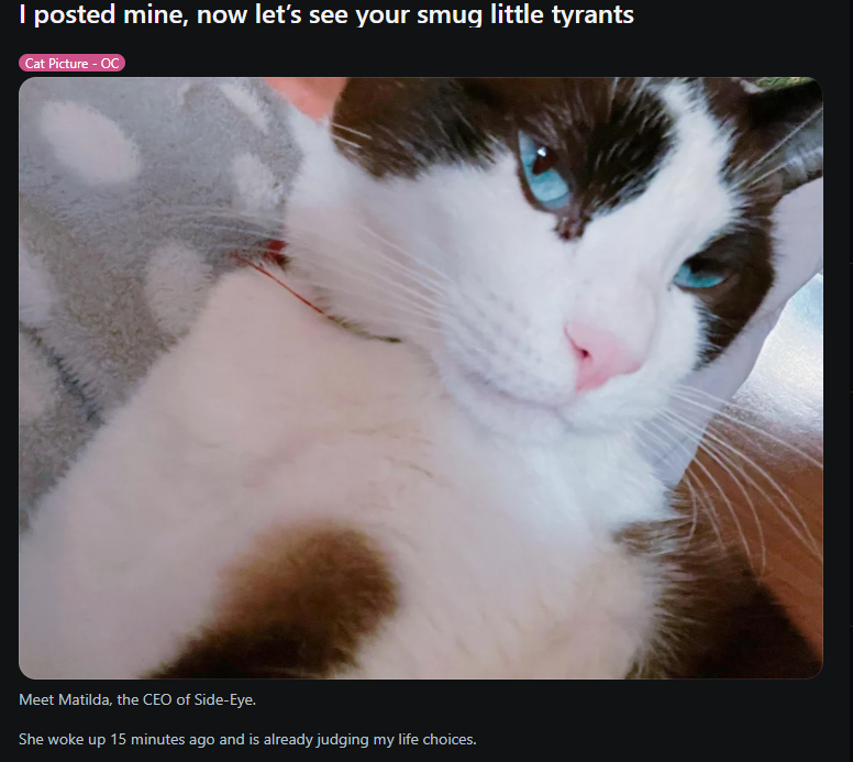 Bone her tweet media