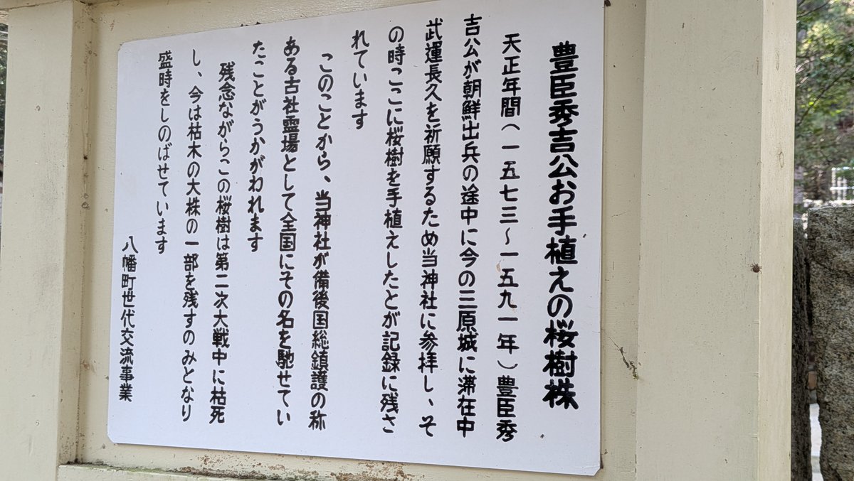 こうち(Kouchi) tweet media