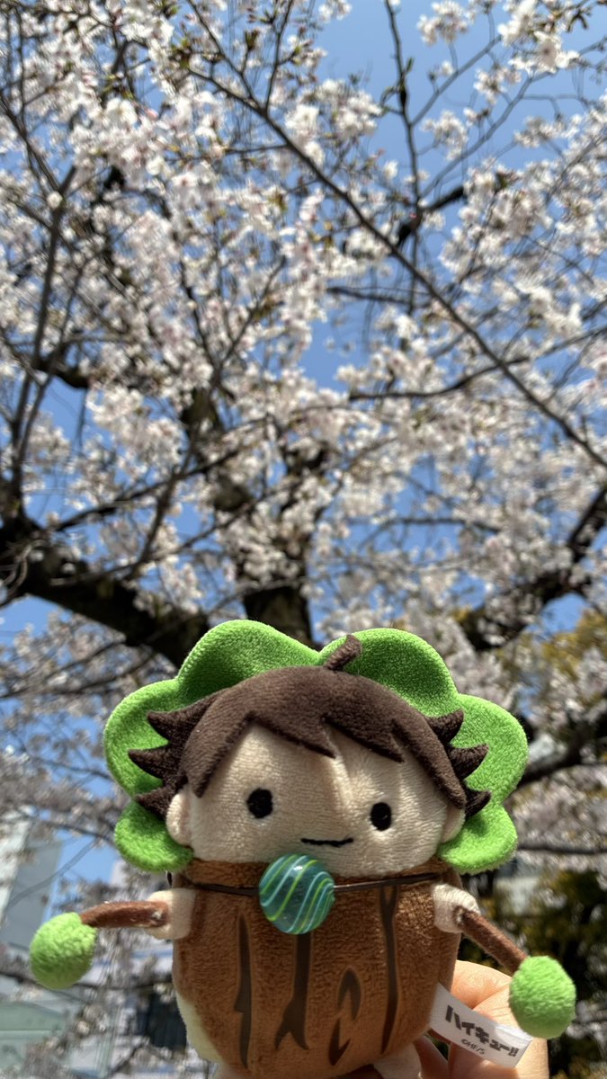 ぷろこ🇺🇸🦖🇦🇷🏐 tweet media