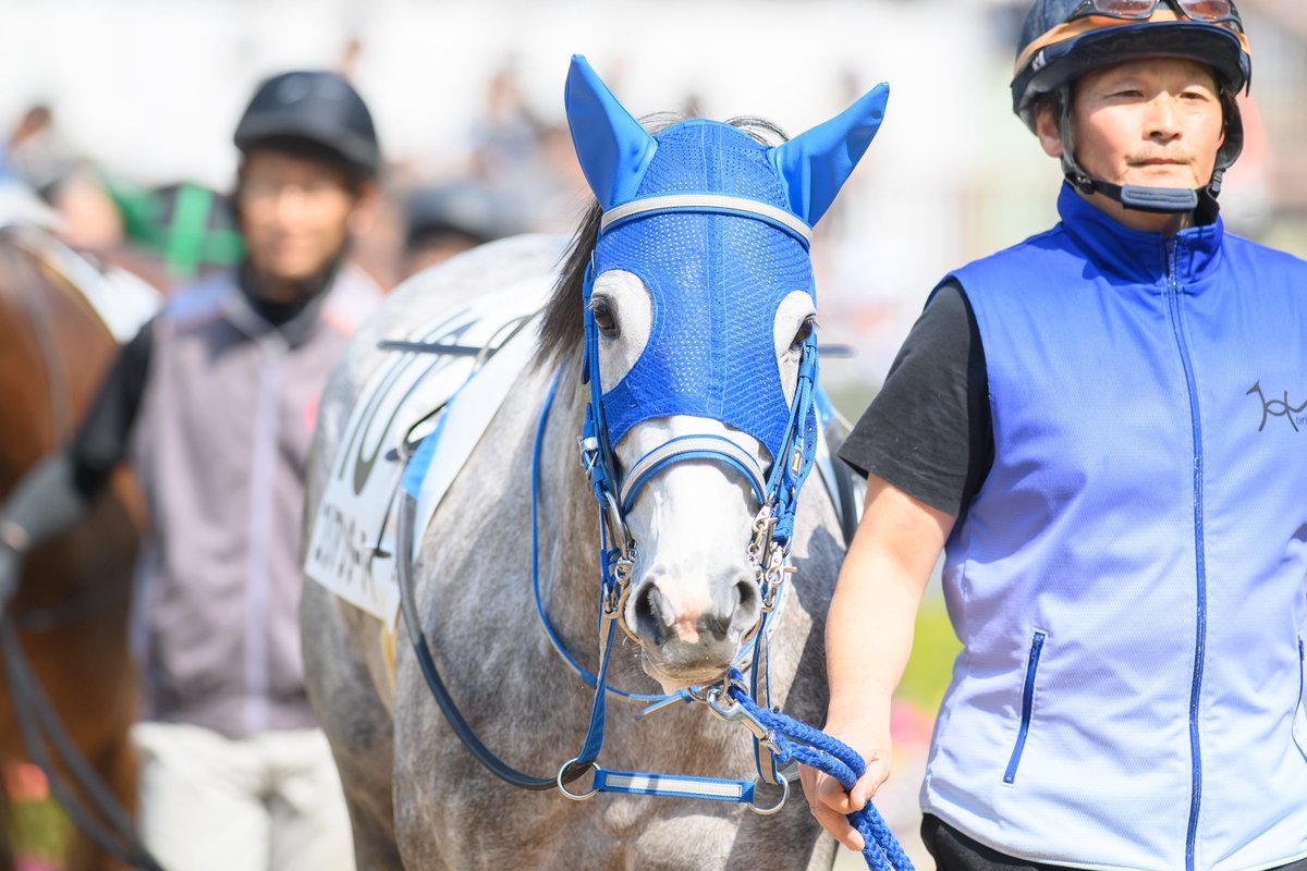 ใใ๐ซง๐ชผ tweet media