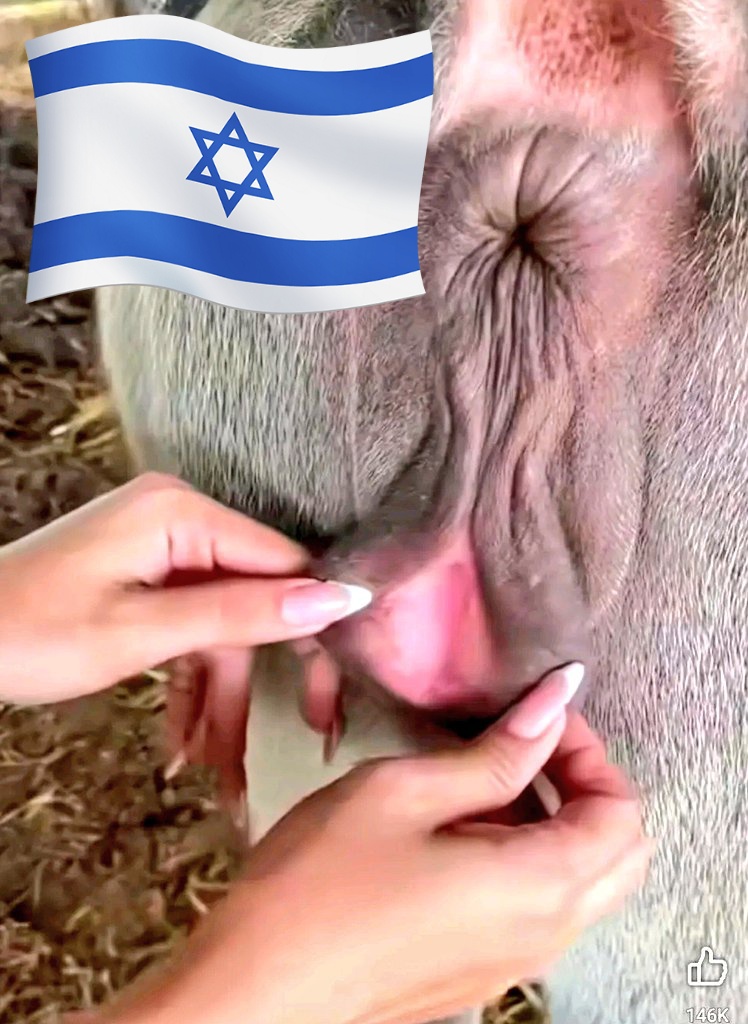 Abdul Hasib rtb tweet media