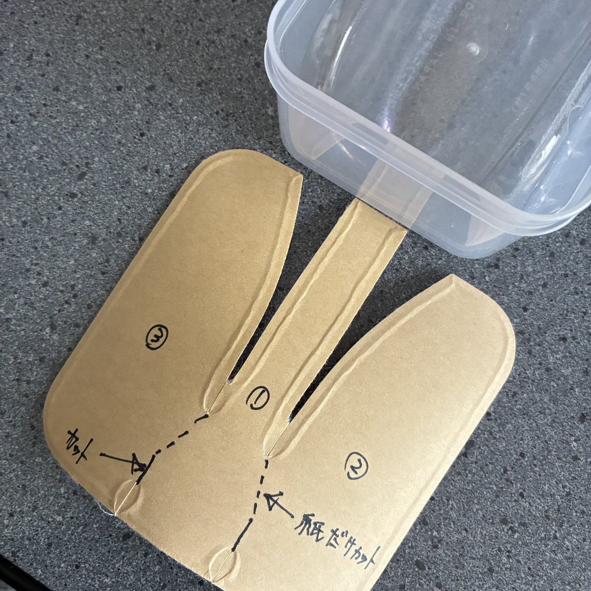 Tyki_🐟🐢🕷🪲 tweet media