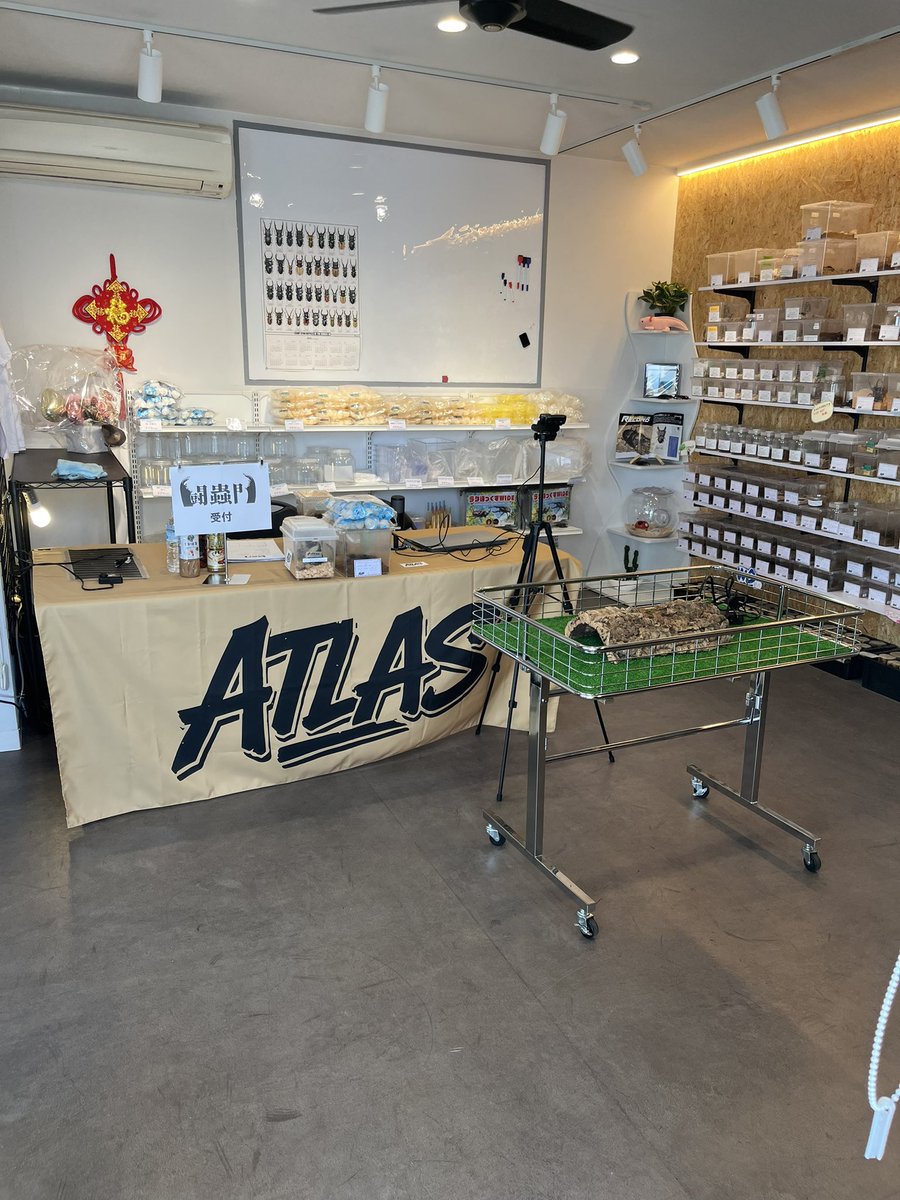 どんぶり@オオヒラタフィールド tweet media