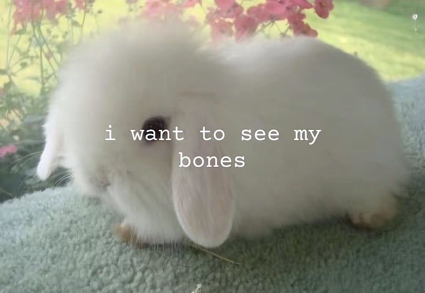 isi 🧁♥︎ tweet media