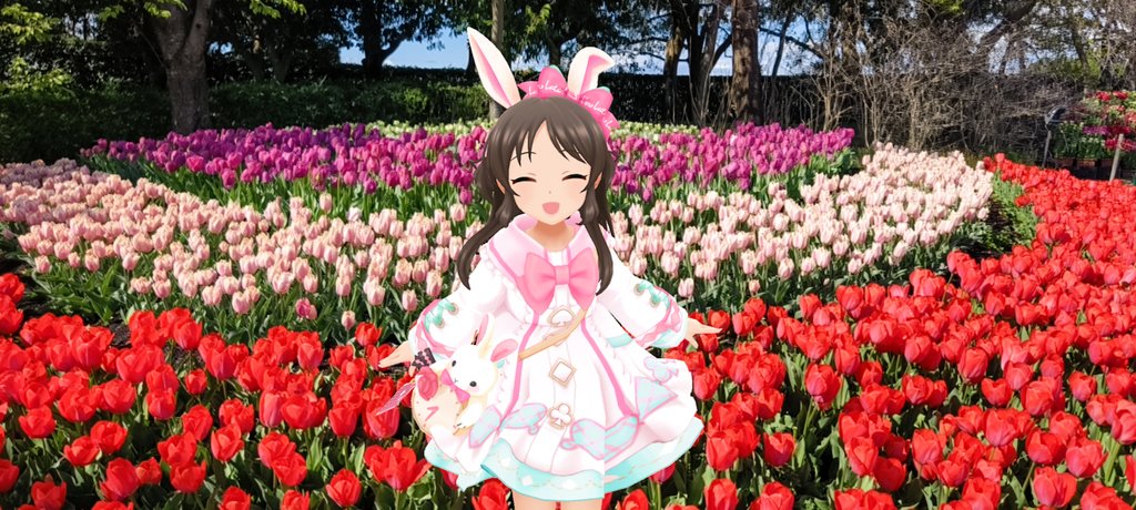 桐古堂 tweet media