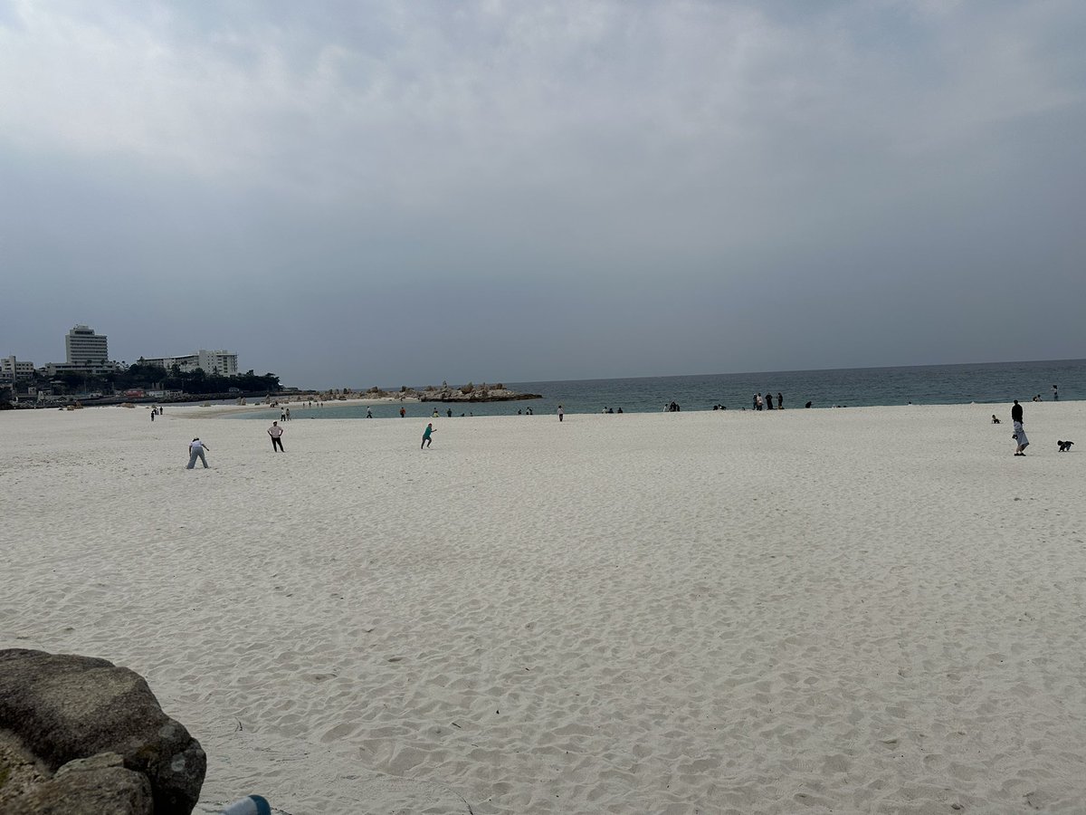 kit飼育員🎣🗝♠︎ tweet media