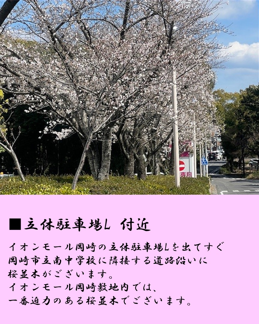 イオンモール岡崎 tweet media