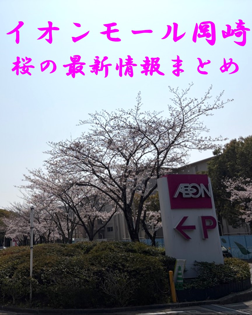 イオンモール岡崎 tweet media