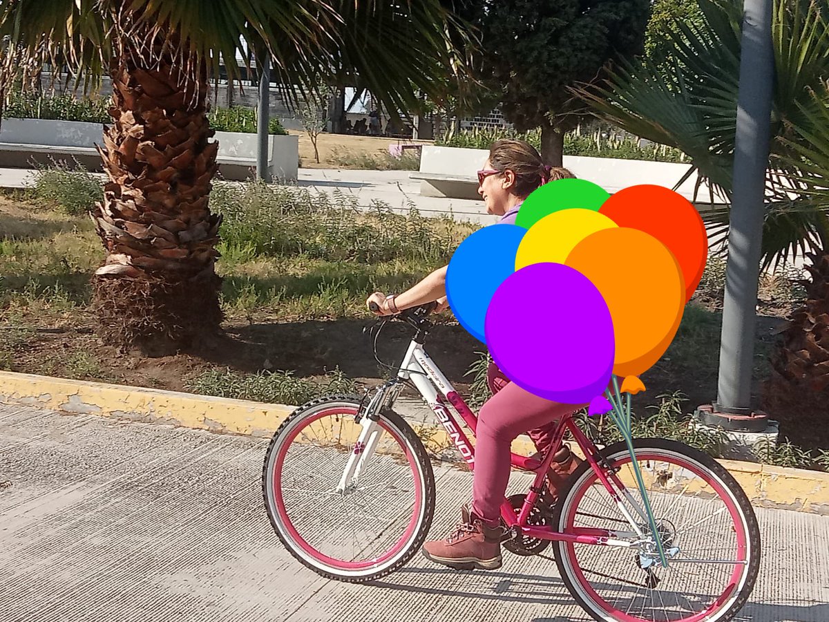 Por cierto, se acuerdan que me robaron la bici de la entrada de mi casa.
Pues ya la repuse. No es shimano, ni de aluminio, ni lleva llantas michelin, pero ya tengo bici