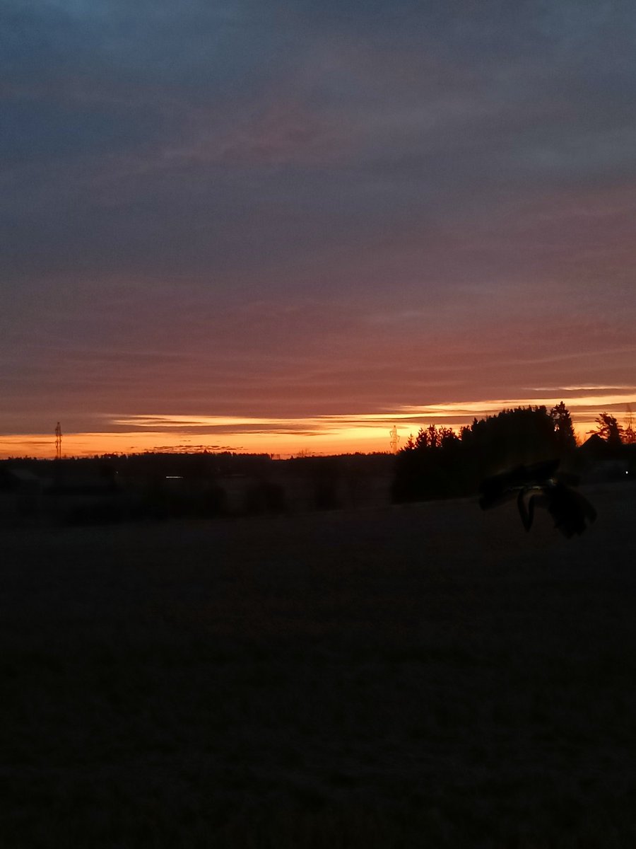 Olli Uusi-Eskola tweet media