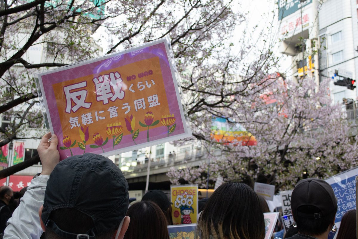 CurryGraphy📷 tweet media