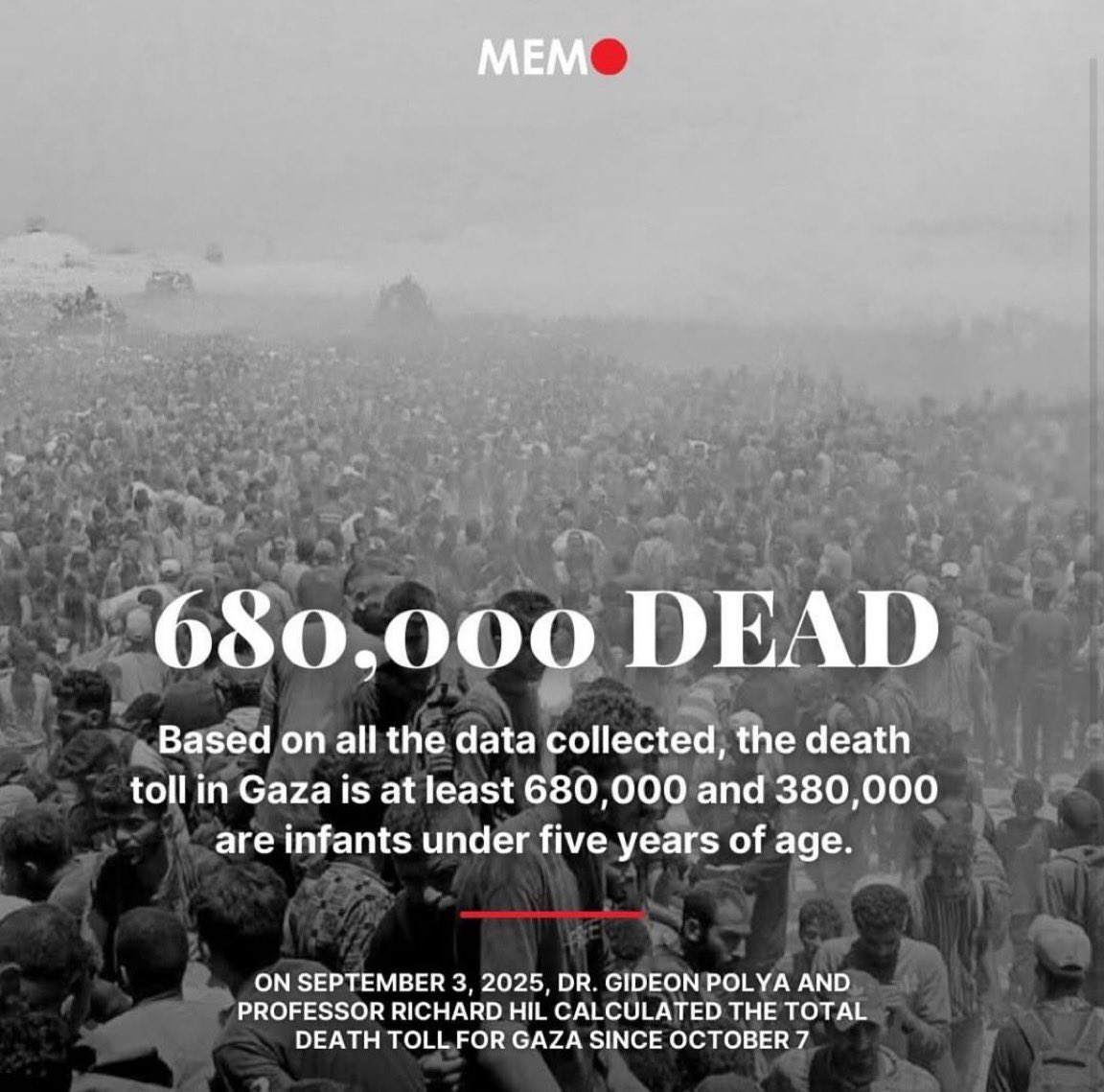 Michele Scheffler tweet media