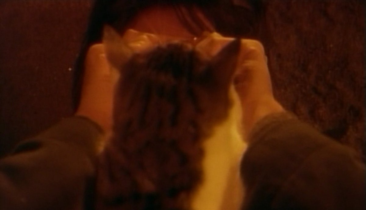 sᴇɴᴛɪᴍᴇɴᴛᴀʟ ɢɪʀʟ ᴠɪᴏʟᴇɴᴛ ᴊᴏᴋᴇ tweet media