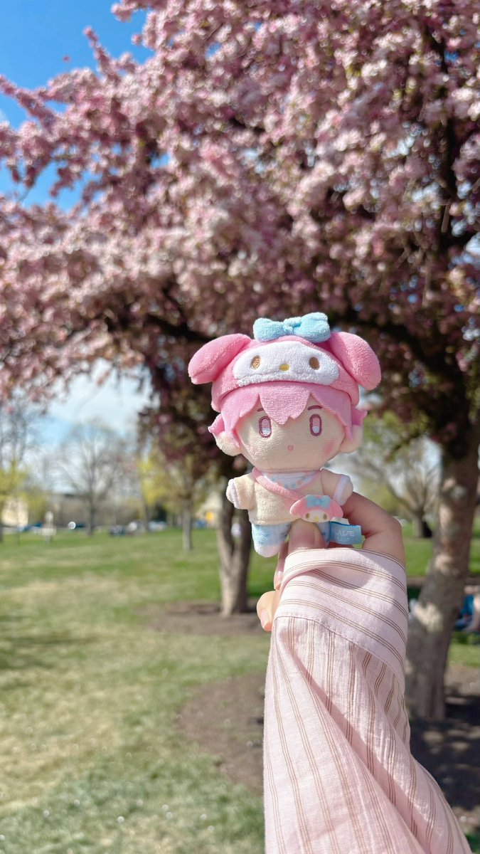 와기람쥐 ₍ᐢ..ᐢ₎ﾉ tweet media