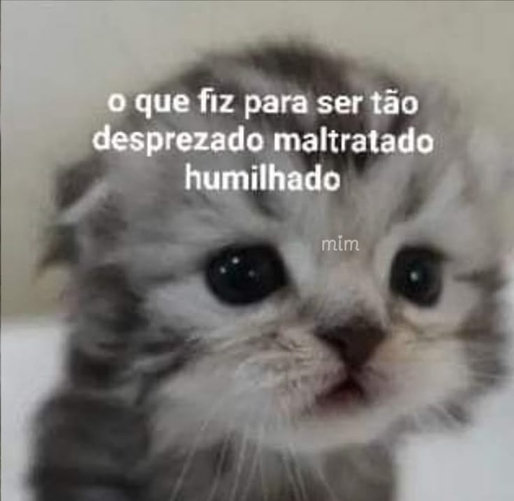 Mythus🦇 tweet media