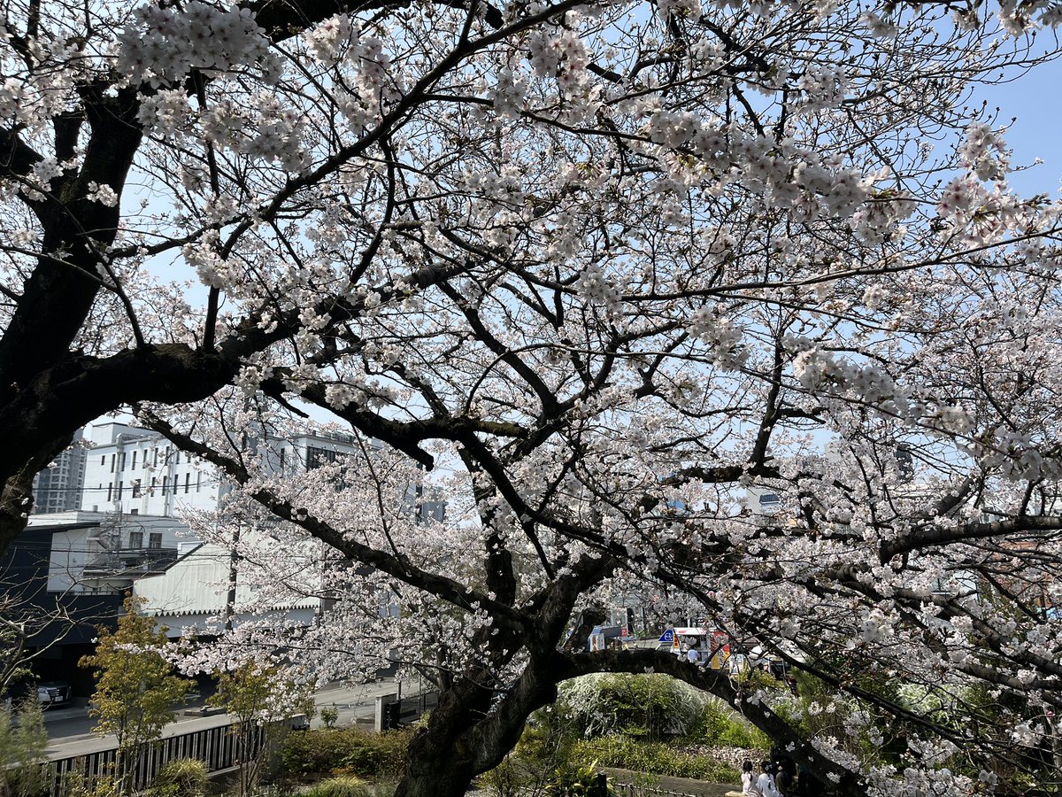 和田だわ/WadaDawa tweet media